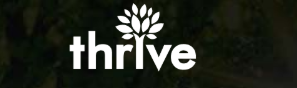 Thrive Internet Marketing Agency