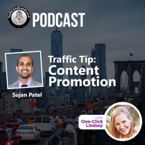 Traffic and Leads Podcast: Content Promotion with Sujan Patel