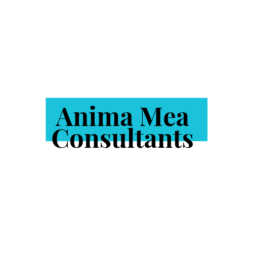 anima mae consultants