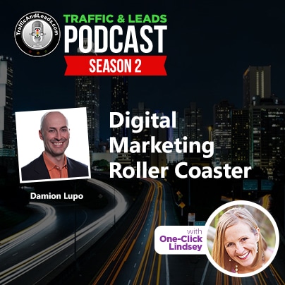 Digital Marketing Roller Coaster