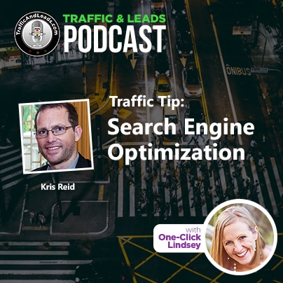 Traffic and Leads Podcast: Search Engine Optimization