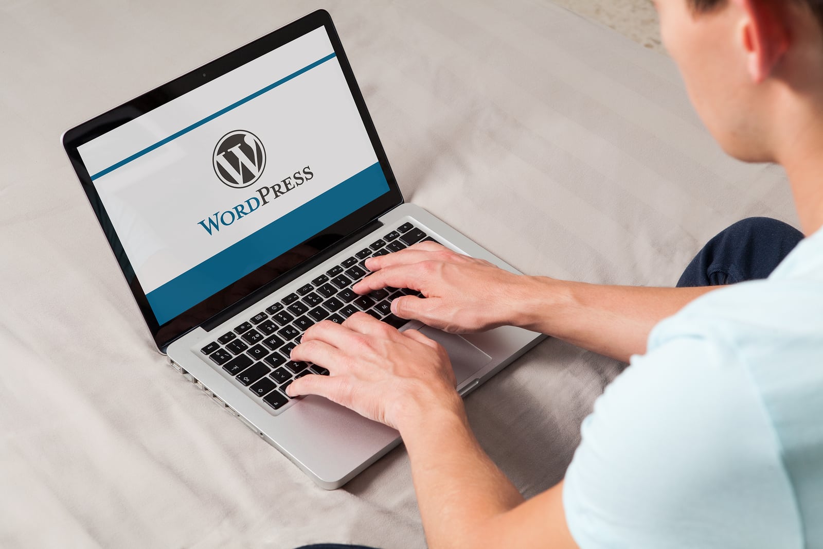 WordPress Experience