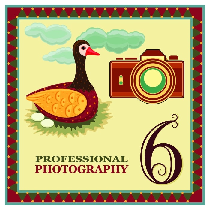 On the sixth day of Christmas my web strategist said to me - "Professional photography is important. Invest in some high quality pictures of yourself and your products."